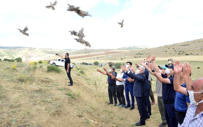 Vali Akın, doğaya kınalı keklik saldı
