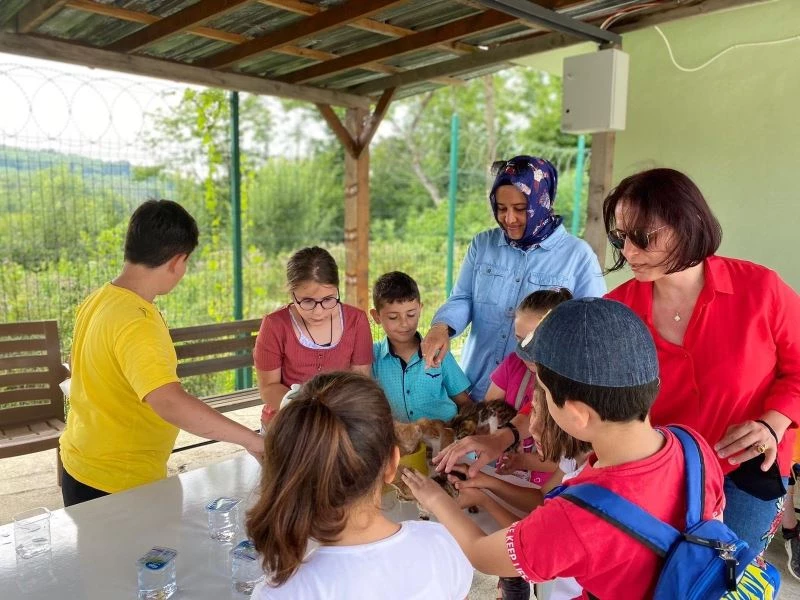 Minikler can dostlarını elleriyle beslediler
