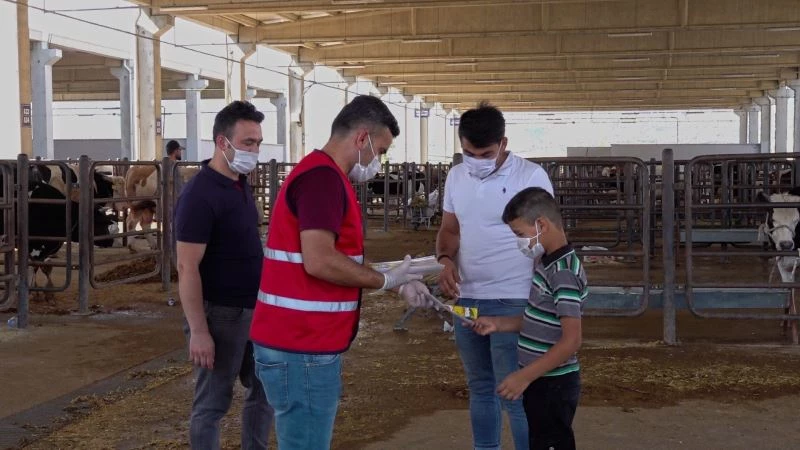 Canlı hayvan borsasında ‘kontrollü’ satışlar başladı
