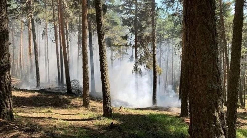 Zamanında müdahaleyle büyümeden söndürüldü
