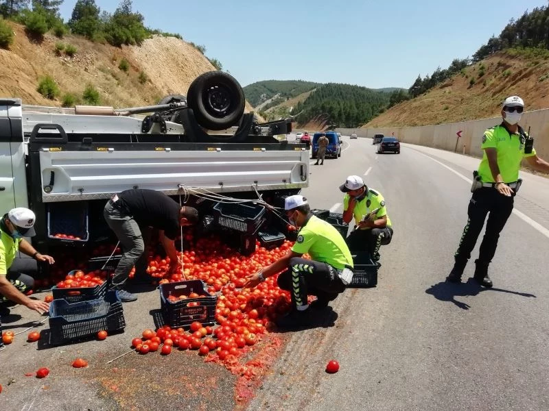 Domatesler devrilen kamyonetten yola saçıldı, trafik ekipleri topladı
