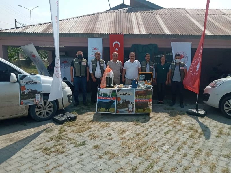 Suni tohumlama projesi hayata geçirildi
