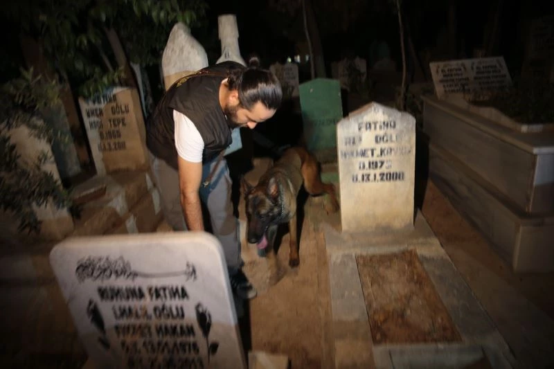 Şanlıurfa’da 483 polisle eş zamanlı uygulama
