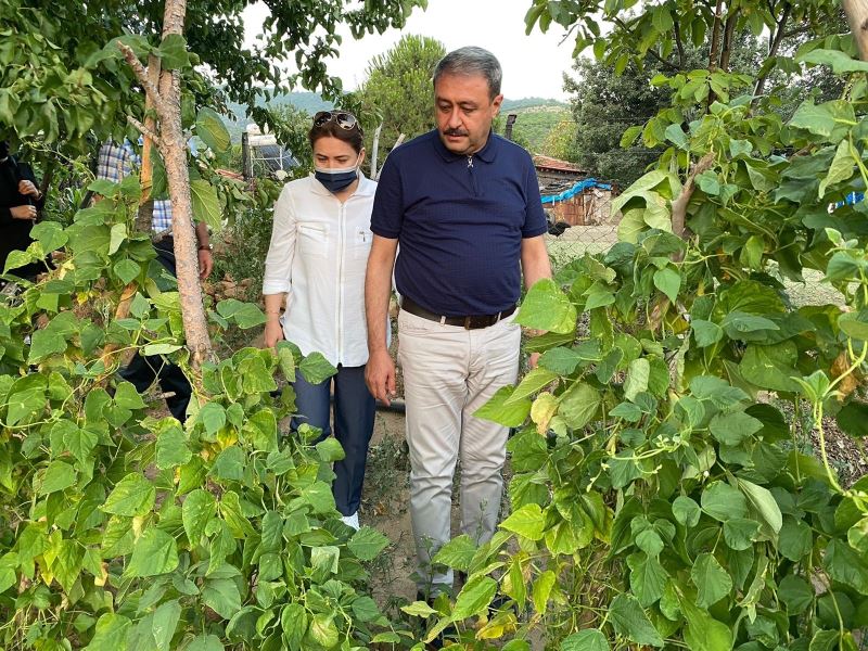 Vali Şıldak tarımda yeni ve modern girişimleri önemsediklerini belirtti
