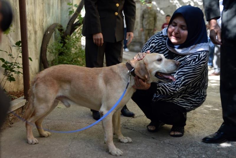 Oğullarını şehit verdikleri saldırıda gazi olan görev köpeği Atmaca