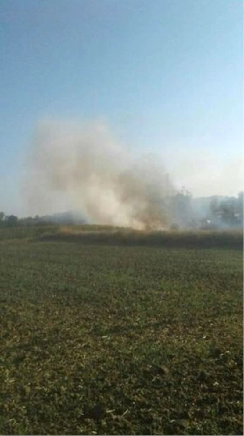 Biçerdöverciye kızdı, buğday ekili tarlasını yaktı
