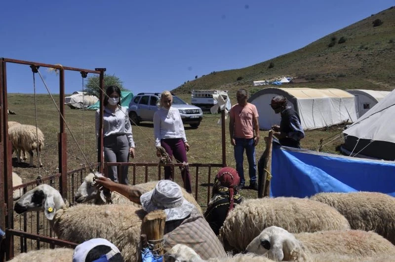 AK Parti Pülümür İlçe Başkanı Kılıçoğlu yaylacıları ziyaret etti
