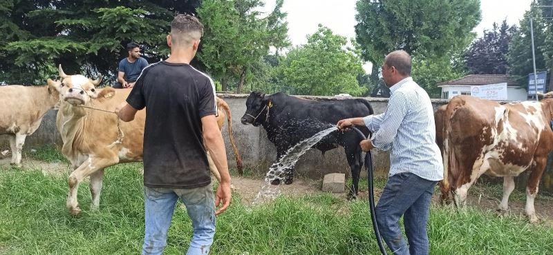 Hava sıcaklığı artınca kurbanlıklar su ile serinledi
