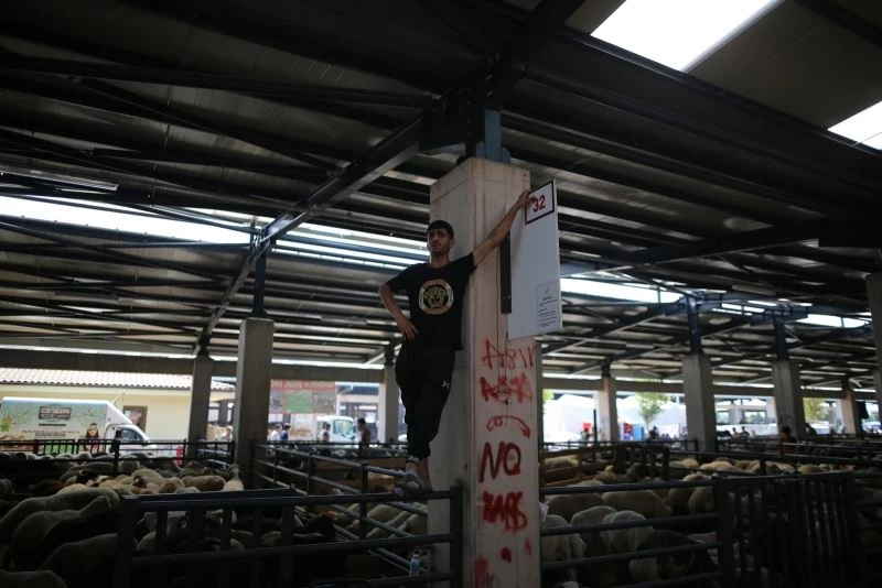 Bursa’da hayvan pazarlarında beklenen hareketlilik yaşanmadı
