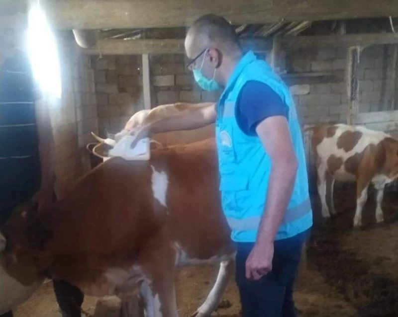 Köylerde ’’Kırım kongo kanamalı ateşi’’ aşılama çalışmaları
