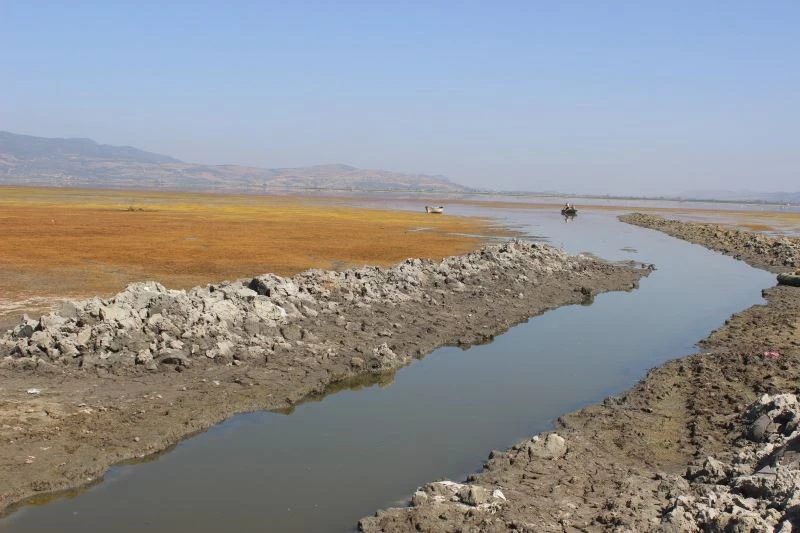 Marmara kuruyor, canlılar ölüyor

