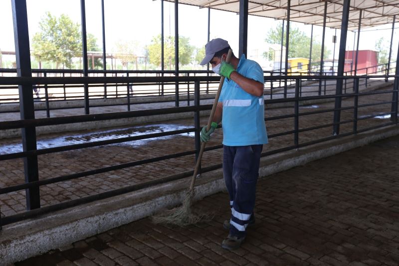 Efeler Belediyesi kurban pazarlarını bayrama hazırlıyor
