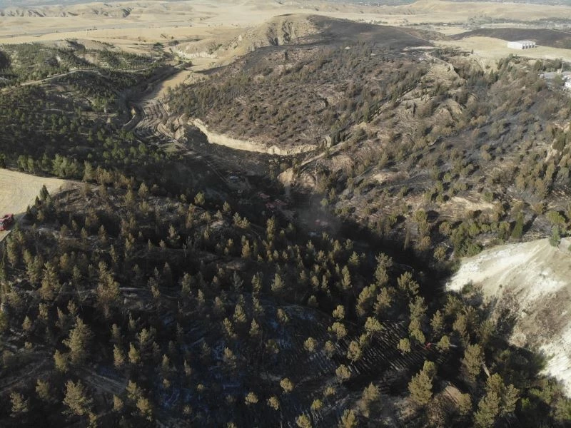 Fabrikaların ortasında çıkan orman yangını söndürüldü
