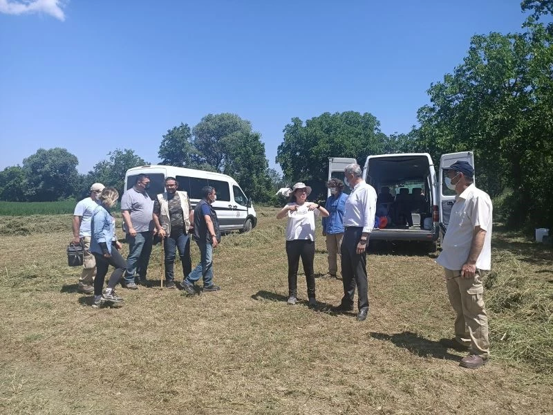 Jeotermal enerjide yeni kaynak arayışı
