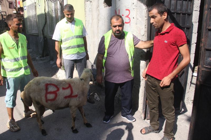 Öksüz ve yetimlere kurbanlık
