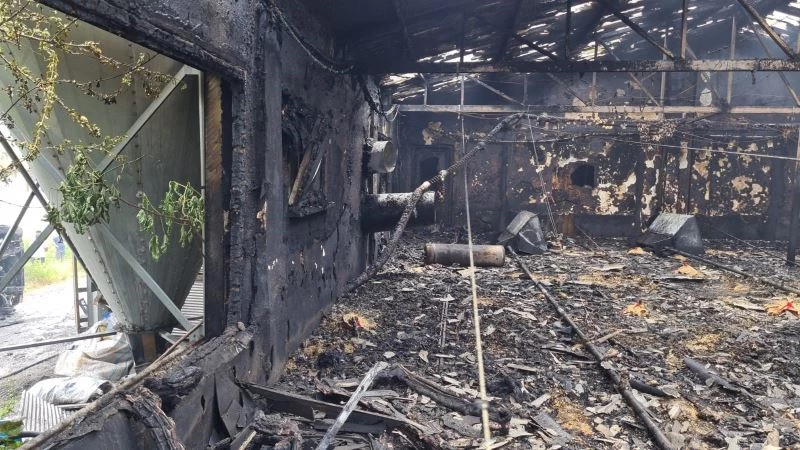 Zonguldak’ta 12 bin hindi yavrusu yangında telef olurken, bir otomobil kullanılamaz hale geldi
