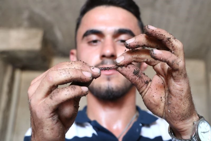 (Özel) İnternette gördü: 1 milyon solucanla aylık 1 ton gübre üretiyor
