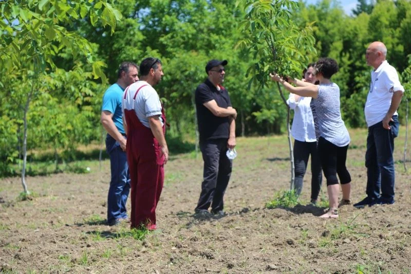 Fidancılık kursiyerleri artık daha bilinçli
