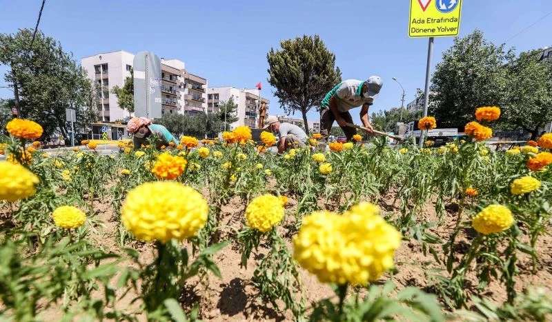 Buca, bahardan yaza çiçeklerle renklendi
