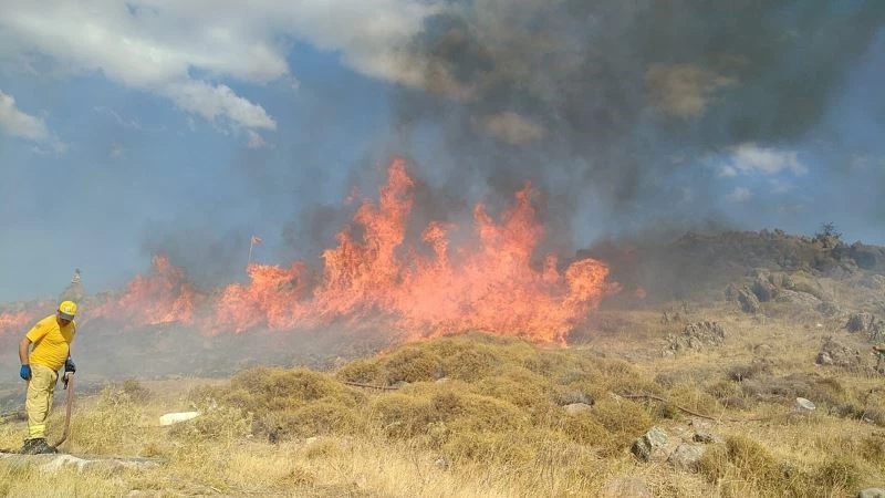 İzmarit yangını 18 dönümlük araziyi küle çevirdi
