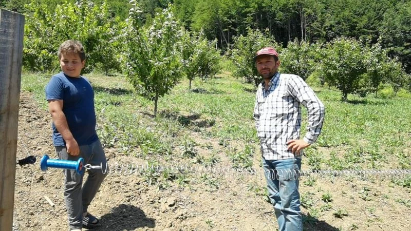 Dağın zirvesindeki bahçesini yaban hayvanlarından böyle koruyor

