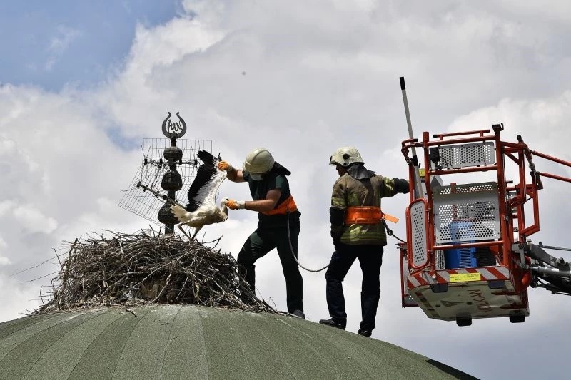 Bursa’da leylek yavrularına kubbe üstünde tedavi
