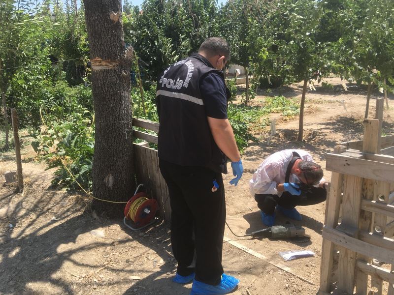 Kuru ağacı taşlama makinesiyle budarken boğazını kesti
