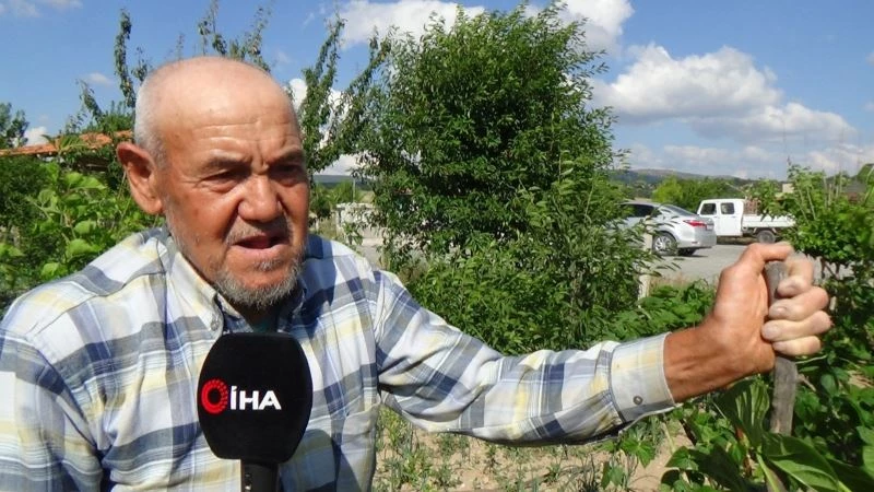  Bu bahçedeki ekili dikili her şey helal
