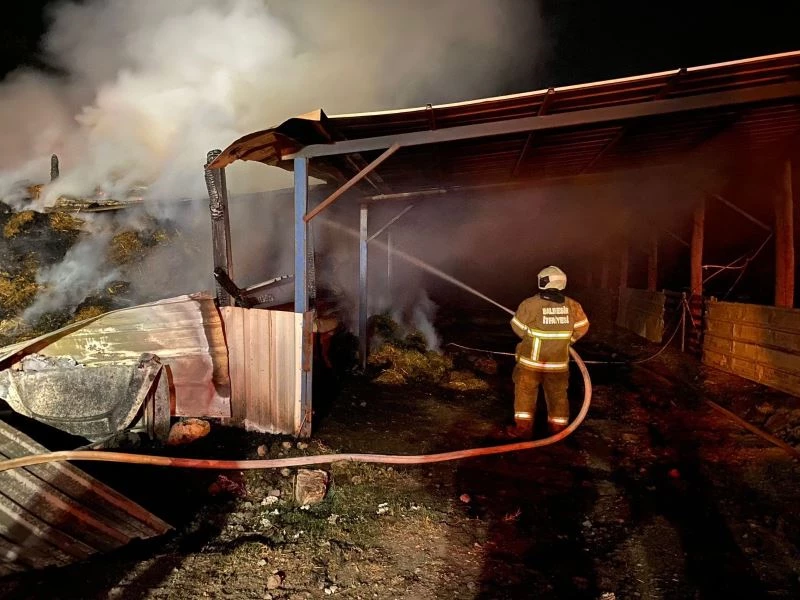Küçükbaş Hayvan Çiftliğinde yangın
