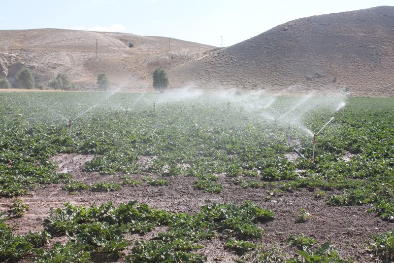 Sivas Gürün Suçatı Sulaması 1. Kısım inşaatının çalışmaları tamamlanarak sulamaya açıldı
