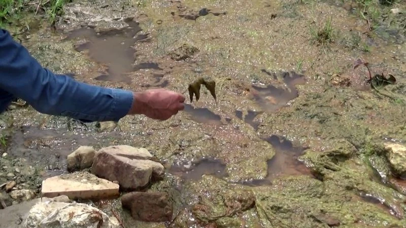 Sultangazi’de Alibeyköy barajına akan dere tehlike saçıyor
