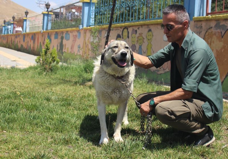 Ölüme terk edilen köpekle engellilerin ‘Dost’luğu devam ediyor
