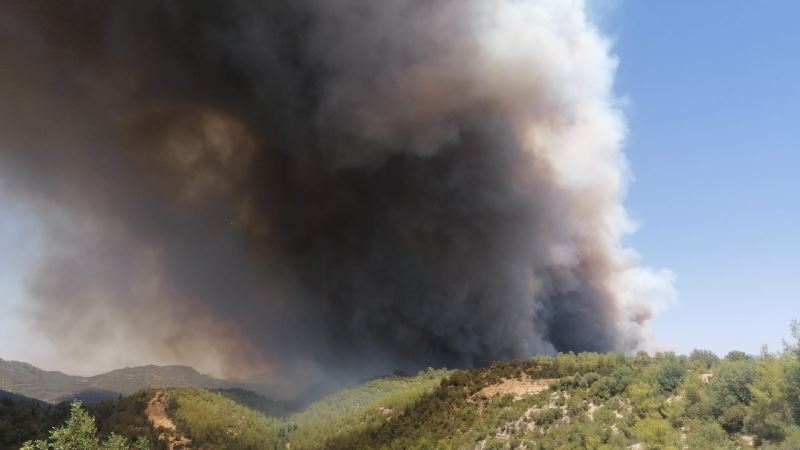 Antalya’da orman yangını
