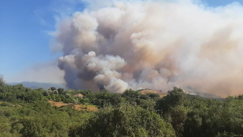 Osmaniye Valisi Erdinç Yılmaz’dan orman yangını açıklaması