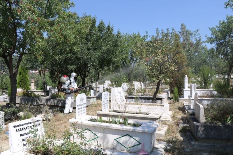 Safranbolu’da fıstık ağaçları ilaçlanıyor
