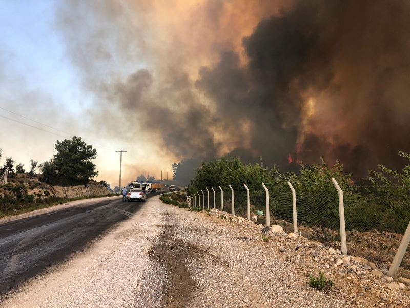 Antalya’daki orman yangını büyüyor
