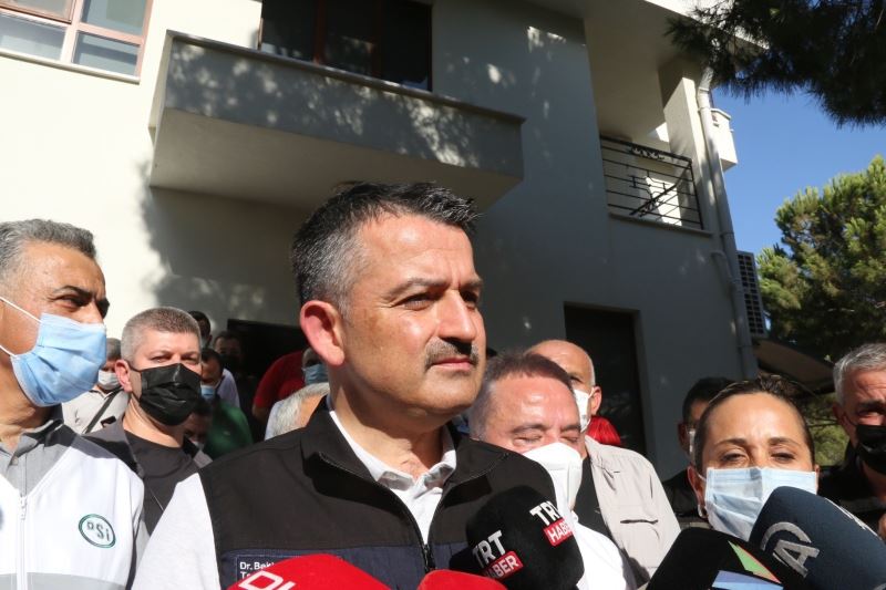 Bakan Pakdemirli: “Manavgat’taki yangında 4 mahalle tahliye edildi”
