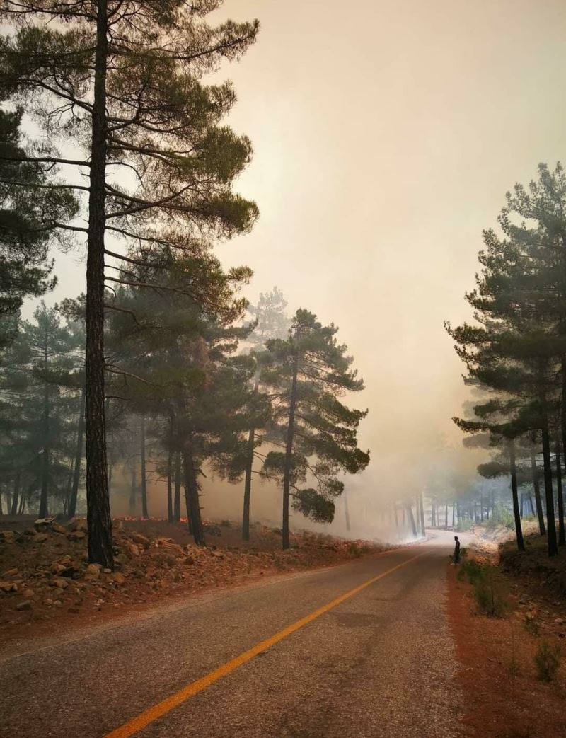 Kayseri’de orman yangını
