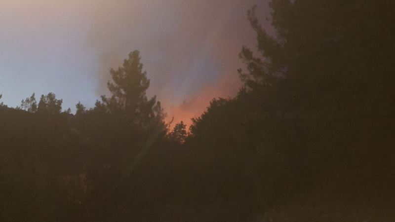 Kozan’ın Kızlarsekisi bölgesinde orman yangını
