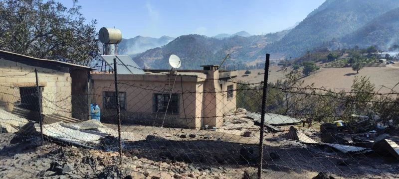 Kozan’daki yangında inekler telef oldu
