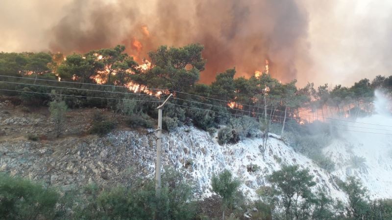 Muğla’nın bazı bölgelerinde yangın dolayısıyla elektrikler kesildi
