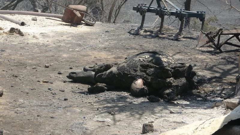 (Özel) Sarılar’da yeniden yükselen alevler evleri tehdit etti mahalleli sokağa döküldü
