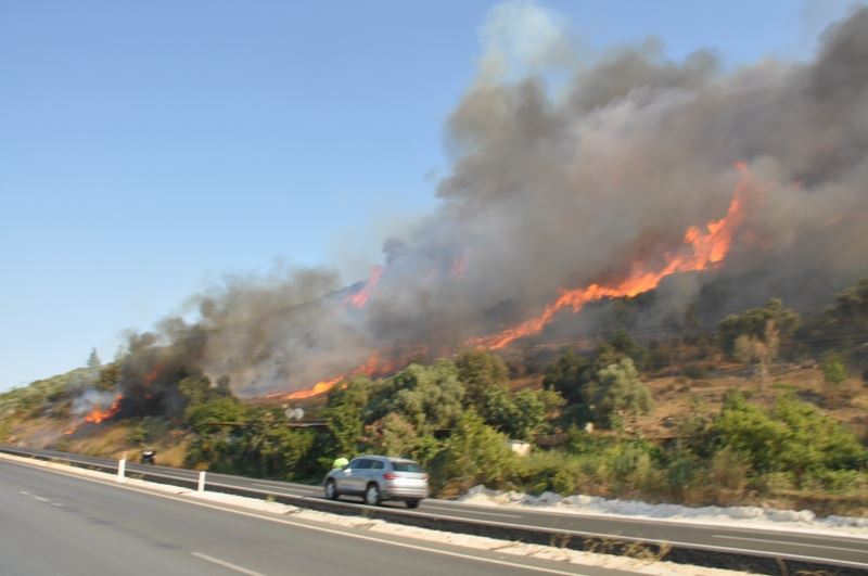 Muğla’da orman yangınları korkutuyor
