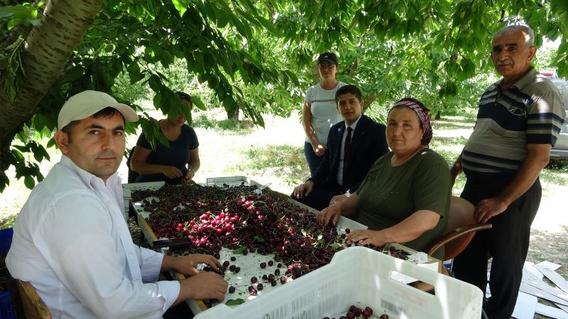 Coğrafi işaret tescilli Uluborlu kirazı Avrupa sofralarında
