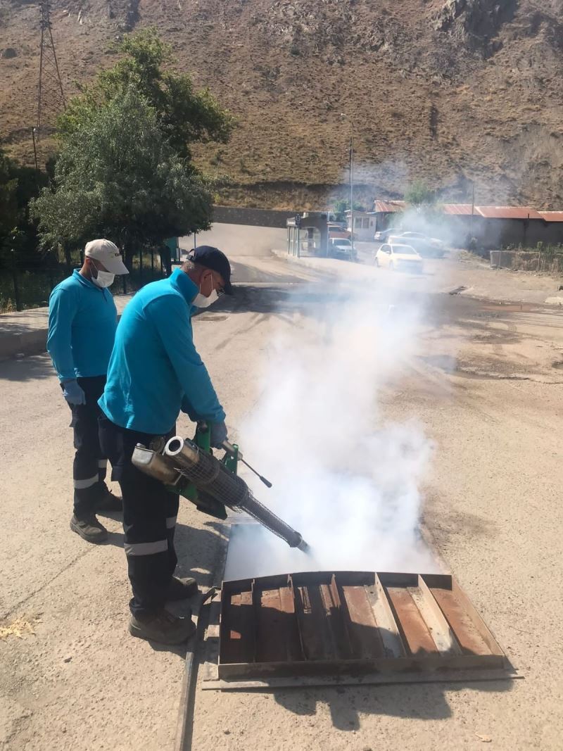 Hakkari’de sivrisineklere karşı kanal sisleme çalışması
