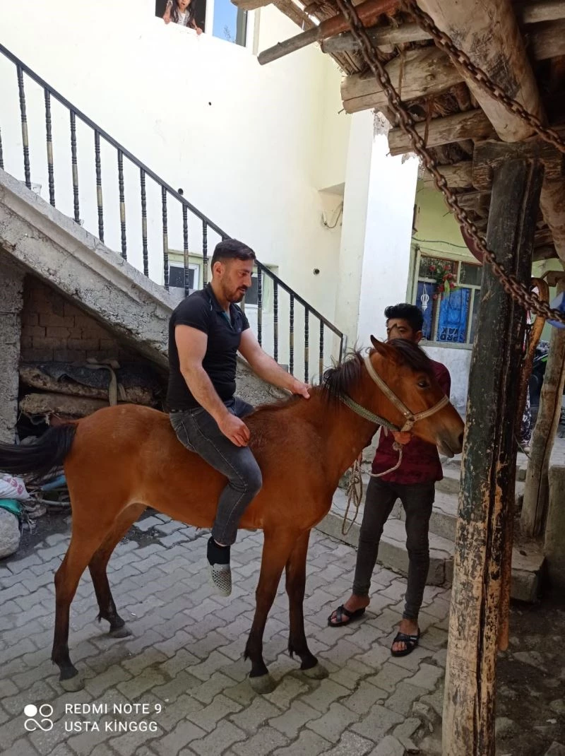 Kurtların saldırısına uğrayan at telef oldu
