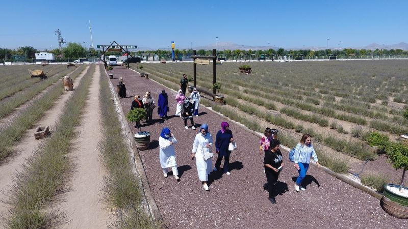 Belediye başkanlarının eşleri Karatay lavanta bahçesini gezdi

