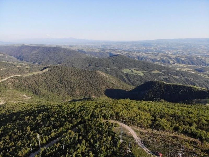 Samsun’da ateşli piknik yapmak yasaklandı
