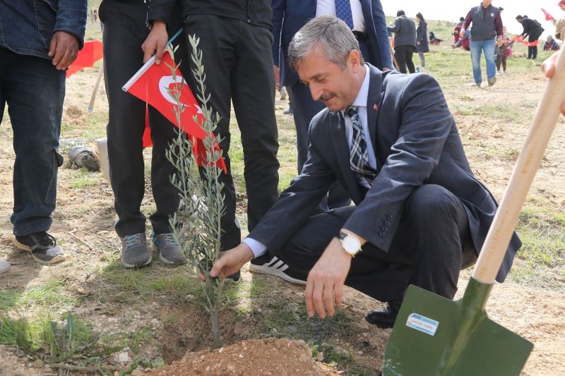 Şahinbey’den yeşil vatan için 27 bin ağaç desteği
