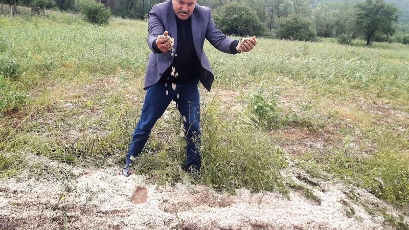 Tokat’ta dolu yağışı tarım arazilerini vurdu
